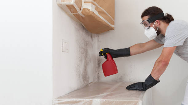 Professional Bathroom Mold Removal technician working in Lexington, TX