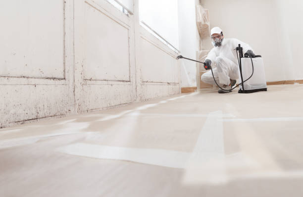 24/7 Emergency Bathroom Mold Removal experts in Lexington, TX